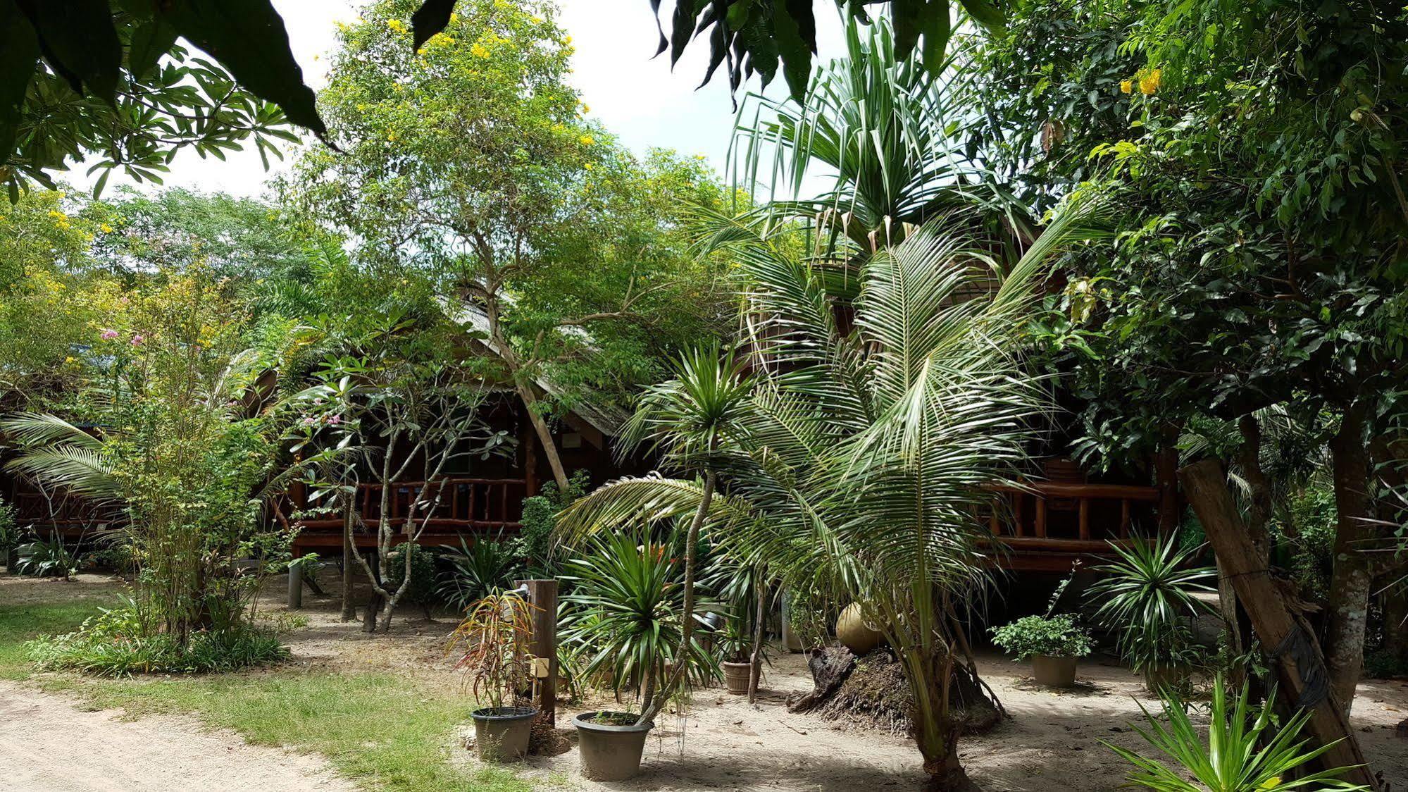 Guest house Pasai *